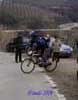 Clicca per ingrandire