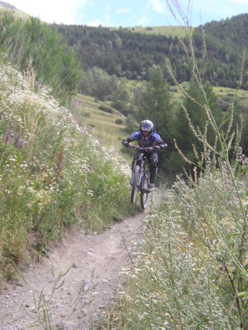 desalpes006.jpg