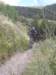 desalpes006_small.jpg
