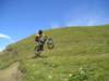 desalpes037_small.jpg