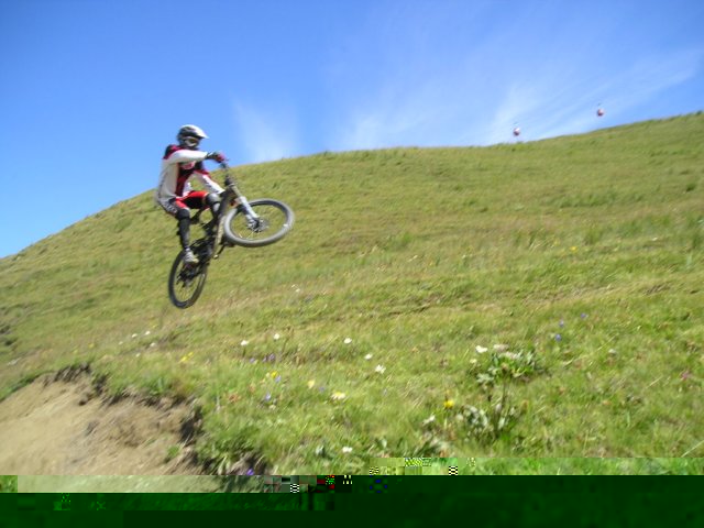 desalpes039.jpg