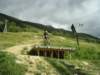 desalpes055_small.jpg