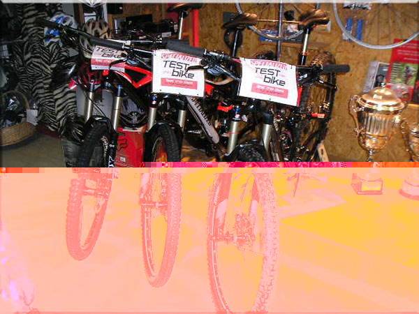 Specialized Test Bike